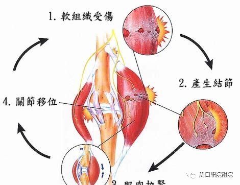 谈球吧体育官网入口