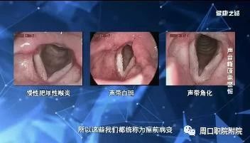 谈球吧体育官网入口