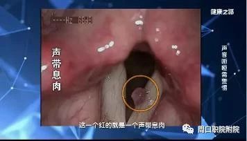 谈球吧体育官网入口