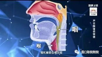 谈球吧体育官网入口