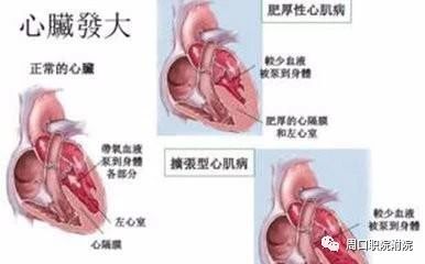 谈球吧体育官网入口